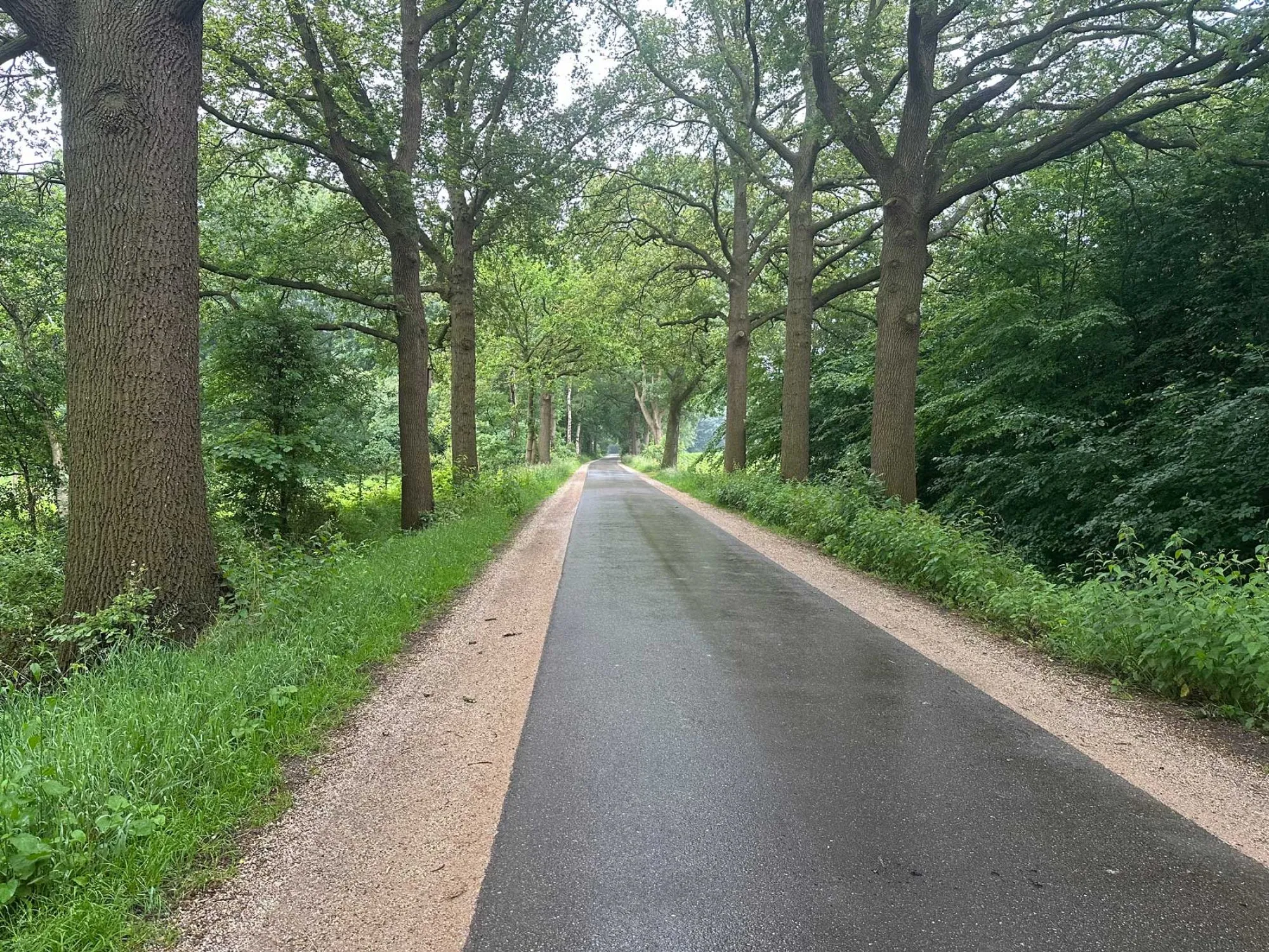 Aanbrengen berm verharding van Achterhoeks Padvast